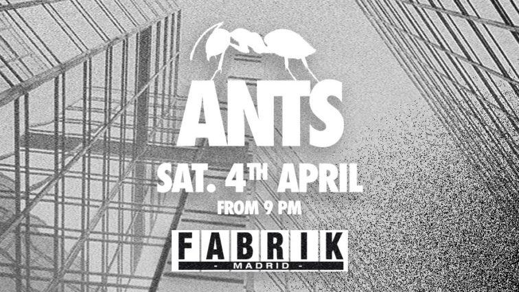 Ants en Fabrik 4 abril 2020